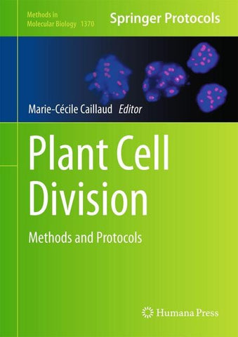 Plant Cell Division