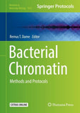 Bacterial Chromatin