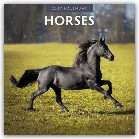 Horses – Pferde 2027 – 16-Monatskalender