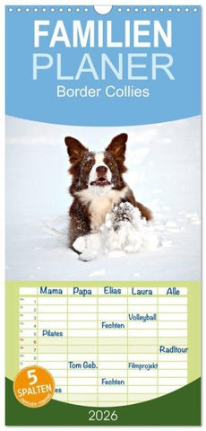 Familienplaner 2026 - Border Collies mit 5 Spalten (Wandkalender, 21 x 45 cm) CALVENDO