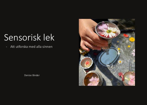 Sensorisk lek