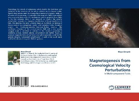Magnetogenesis from Cosmological Velocity Perturbations