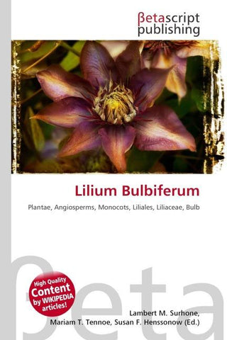 Lilium Bulbiferum