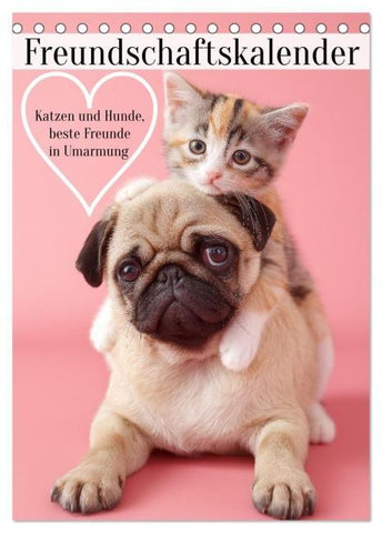 Freundschaftskalender - Katzen und Hunde, beste Freunde in Umarmung (Tischkalender 2026 DIN A5 hoch), CALVENDO Monatskalender