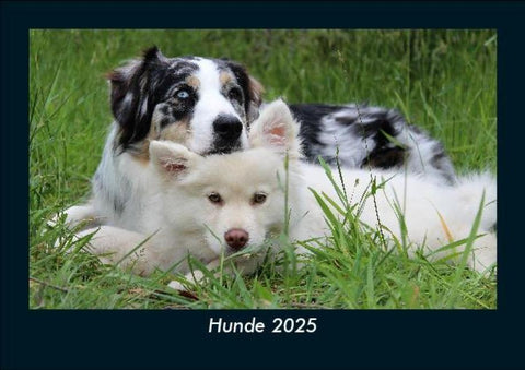 Hunde 2025 Fotokalender DIN A5
