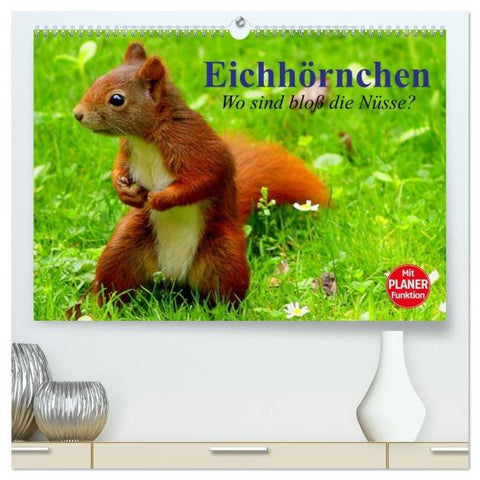 Eichhörnchen. Wo sind bloß die Nüsse? (hochwertiger Premium Wandkalender 2026 DIN A2 quer), Kunstdruck in Hochglanz