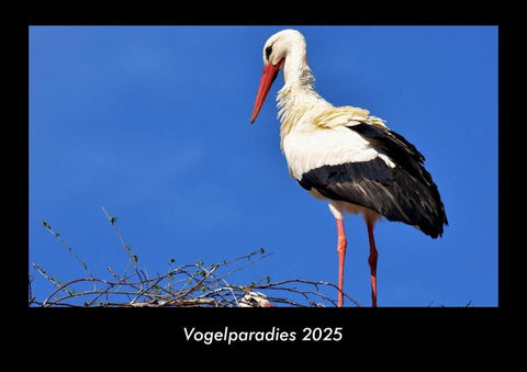 Vogelparadies 2025 Fotokalender DIN A3