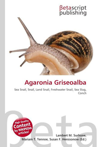 Agaronia Griseoalba