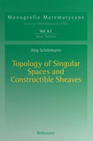 Topology of Singular Spaces and Constructible Sheaves
