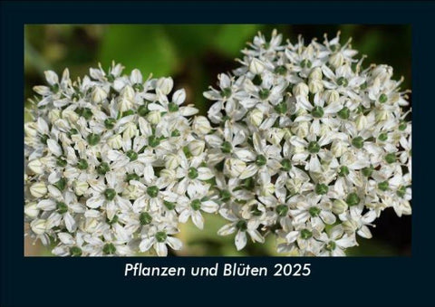 Pflanzen und Blüten 2025 Fotokalender DIN A5