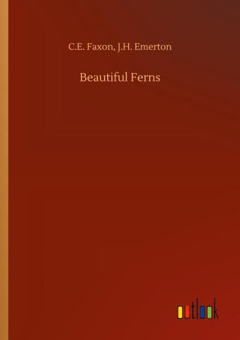 Beautiful Ferns