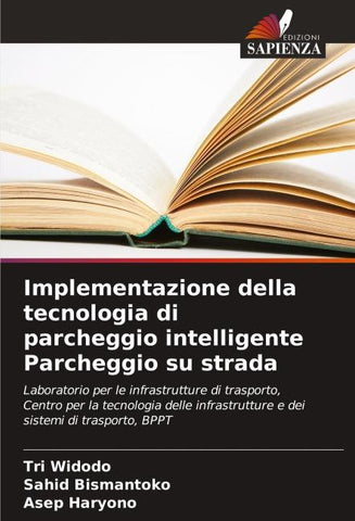 Implementazione della tecnologia di parcheggio intelligente Parcheggio su strada