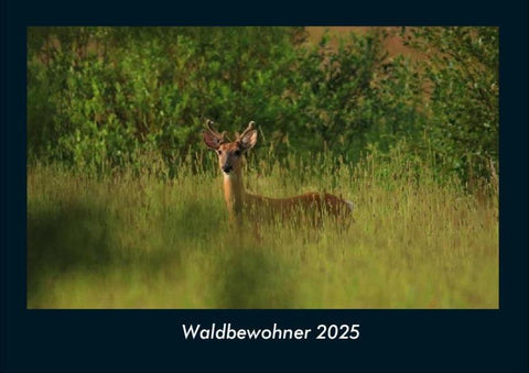 Waldbewohner 2025 Fotokalender DIN A4