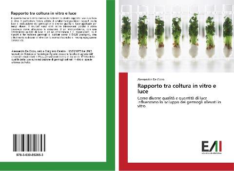 Rapporto tra coltura in vitro e luce