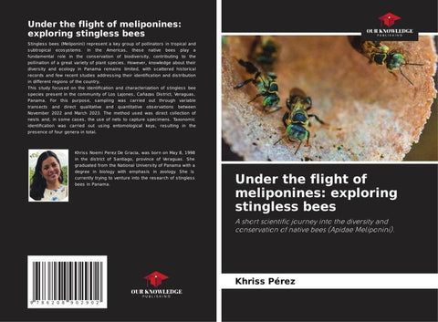 Under the flight of meliponines: exploring stingless bees
