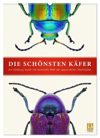 Die schönsten Käfer (Wandkalender 2026 DIN A2 hoch), CALVENDO Monatskalender