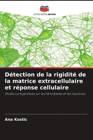 Détection de la rigidité de la matrice extracellulaire et réponse cellulaire