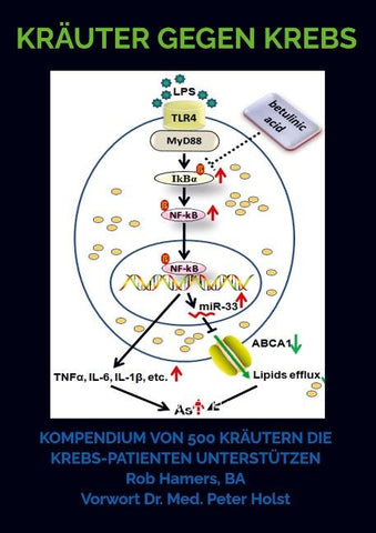 Kräuter gegen Krebs