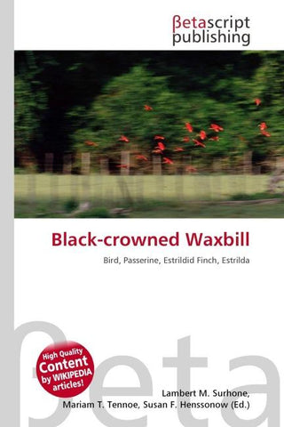 Black-crowned Waxbill