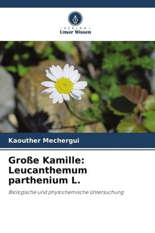 Große Kamille: Leucanthemum parthenium L.
