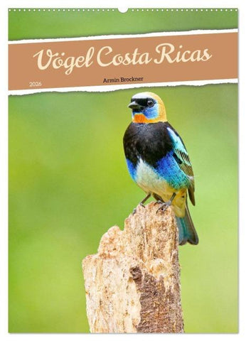 Vögel Costa Ricas (Wandkalender 2026 DIN A2 hoch), CALVENDO Monatskalender
