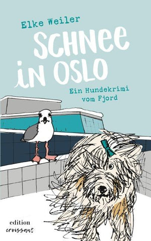 Schnee in Oslo