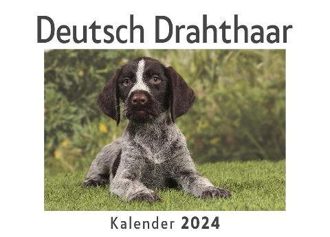 Deutsch Drahthaar (Wandkalender 2024, Kalender DIN A4 quer, Monatskalender im Querformat mit Kalendarium, Das perfekte Geschenk)