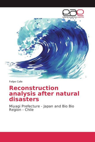 Reconstruction analysis after natural disasters