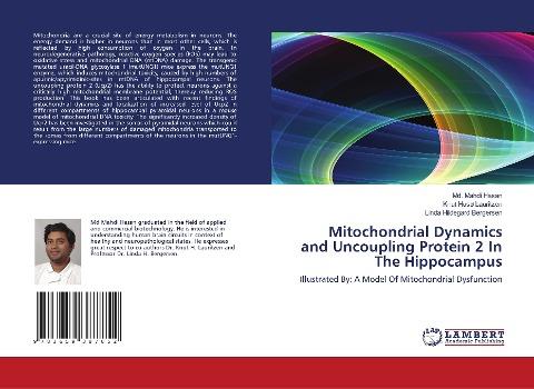 Mitochondrial Dynamics and Uncoupling Protein 2 In The Hippocampus