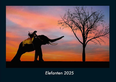 Elefanten 2025 Fotokalender DIN A4