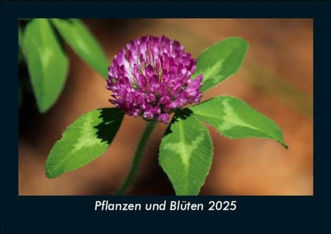 Pflanzen und Blüten 2025 Fotokalender DIN A5