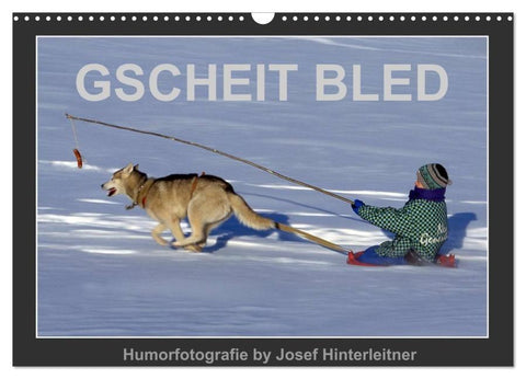 GSCHEIT BLED - Humorfotografie (Wandkalender 2026 DIN A3 quer), CALVENDO Monatskalender