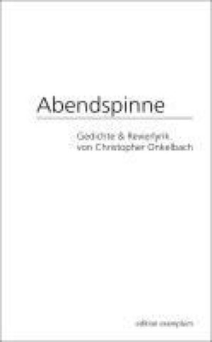 Abendspinne