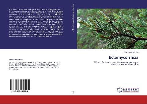 Ectomycorrhiza