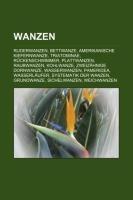 Wanzen