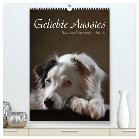Geliebte Aussies - Australian Shepherds im Portrait (hochwertiger Premium Wandkalender 2026 DIN A2 hoch), Kunstdruck in Hochglanz