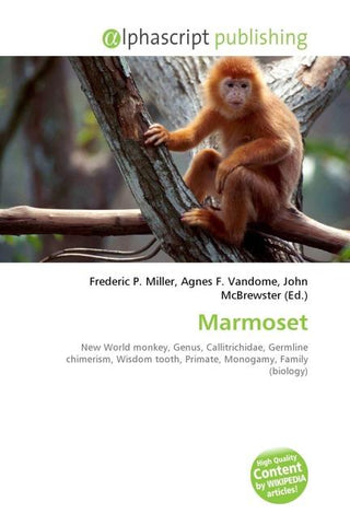 Marmoset