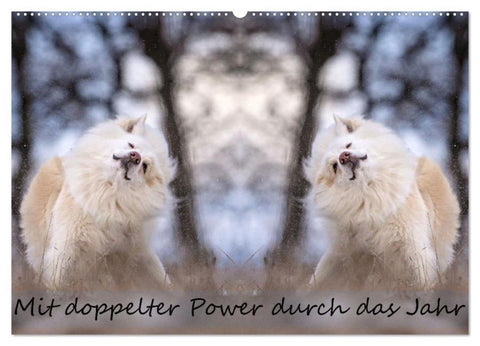 Mit doppelter Power durch das Jahr (Wandkalender 2026 DIN A2 quer), CALVENDO Monatskalender