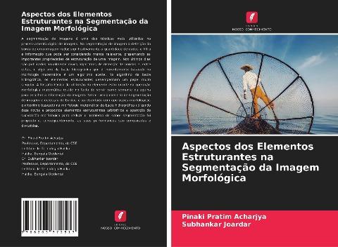 Aspectos dos Elementos Estruturantes na Segmentação da Imagem Morfológica
