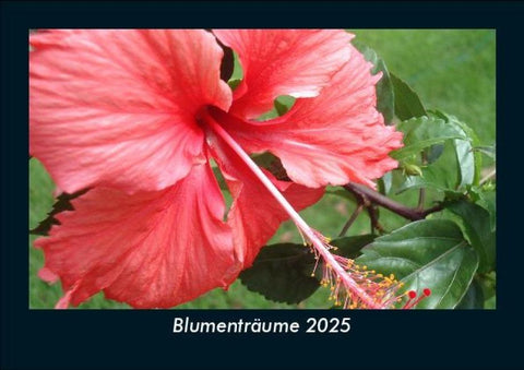 Blumenträume 2025 Fotokalender DIN A5