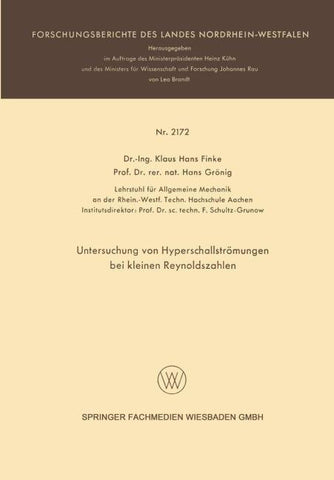 Untersuchung von Hyperschallströmungen bei kleinen Reynoldszahlen