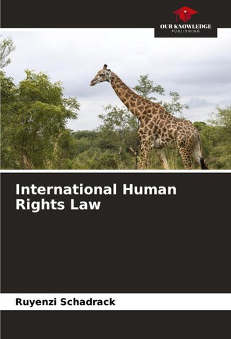International Human Rights Law