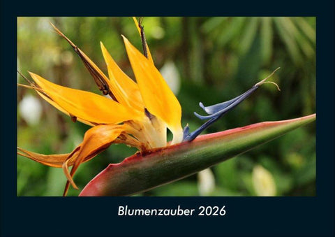 Blumenzauber 2026 Fotokalender DIN A4
