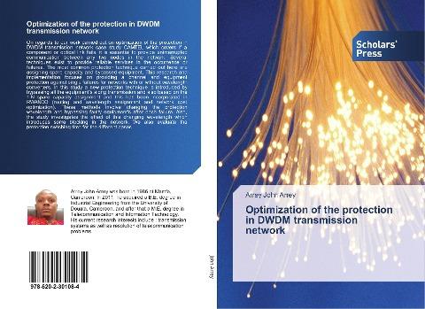 Optimization of the protection in DWDM transmission network