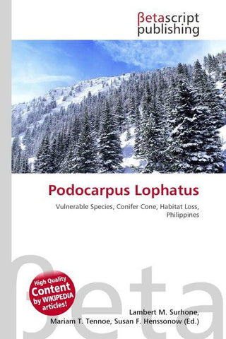 Podocarpus Lophatus