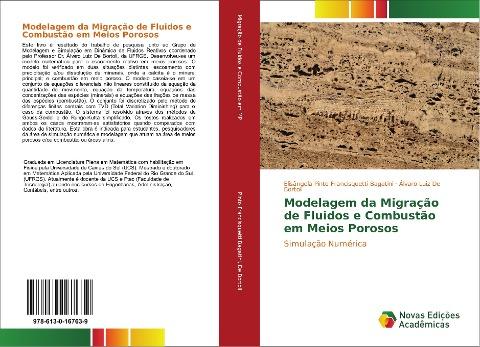 Modelagem da Migração de Fluidos e Combustão em Meios Porosos