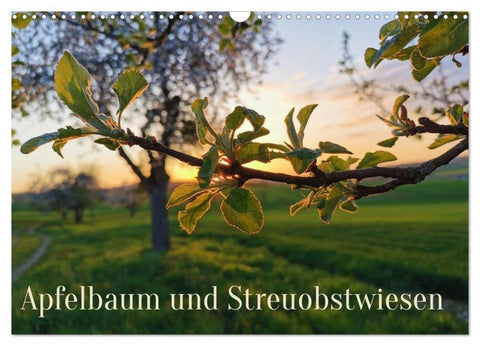 Apfelbaum und Streuobstwiesen (Wandkalender 2026 DIN A3 quer), CALVENDO Monatskalender