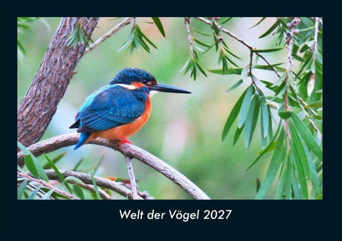 Welt der Vögel 2027 Fotokalender DIN A4