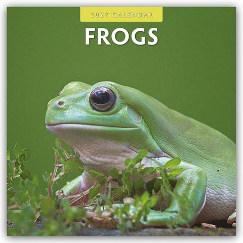 Frogs – Frosch – Frösche 2027 – 16-Monatskalender