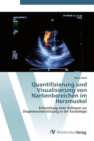 Quantifizierung und Visualisierung von Narbenbereichen im Herzmuskel
